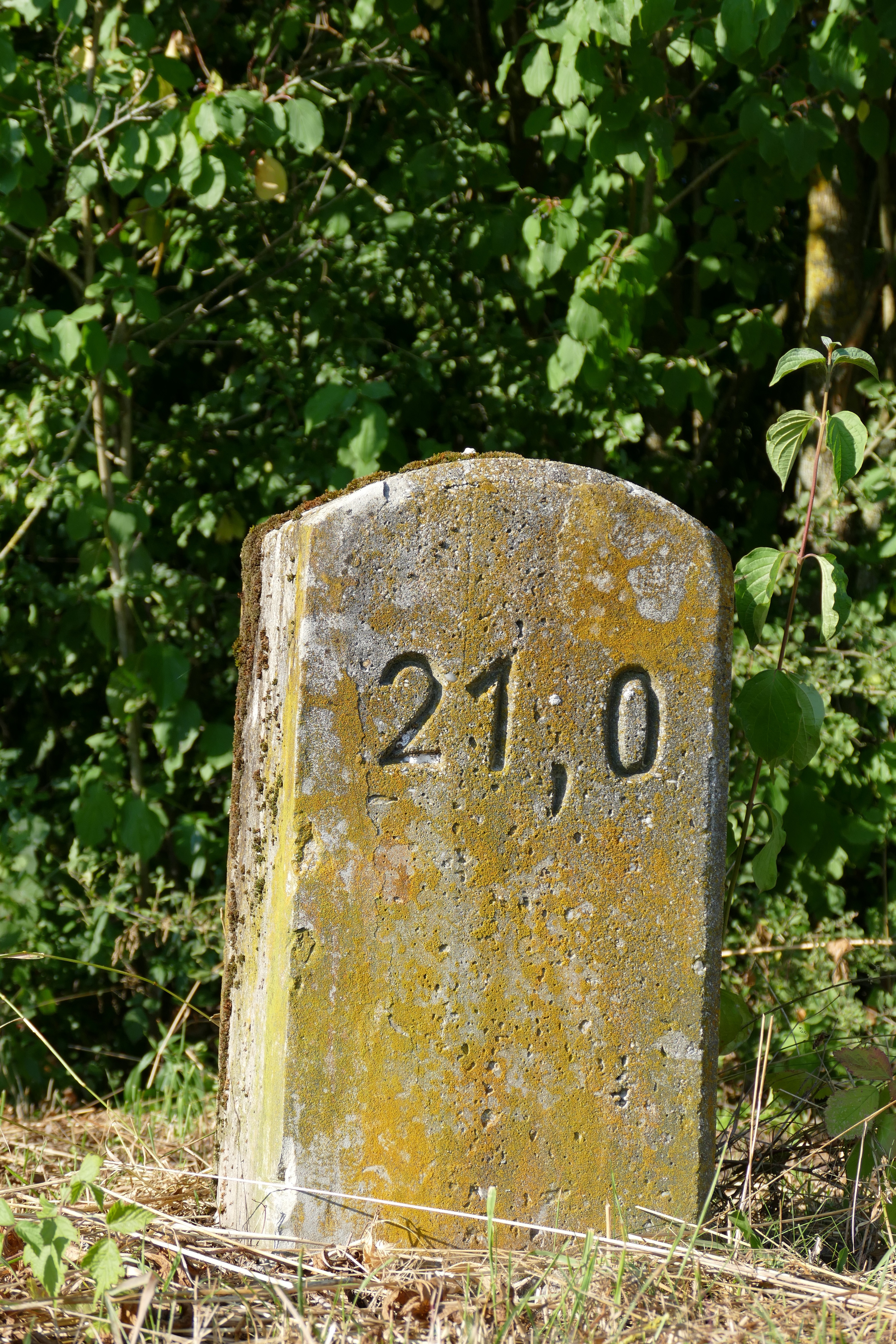Meilenstein